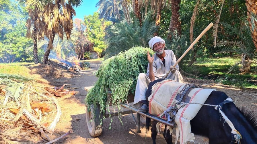 L'Égypte Autrement