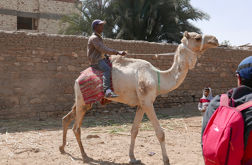 L'Égypte Autrement