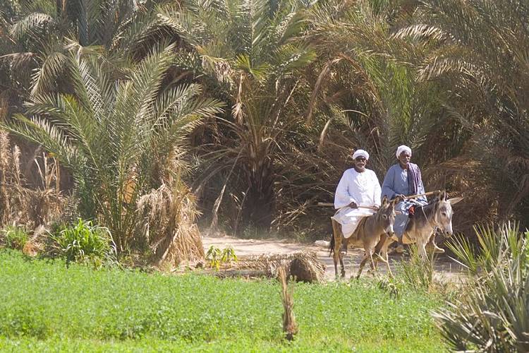 L'Égypte Autrement