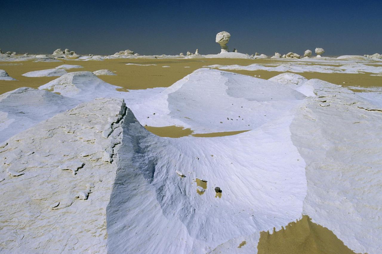 Désert Blanc & Oasis